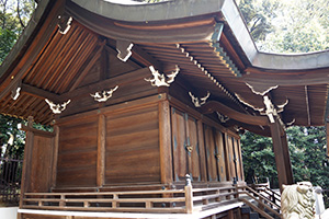 熊野神社のご祭神